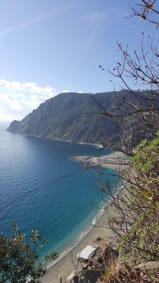 Appartamento Le Conchiglie Monterosso Al Mare Extérieur photo