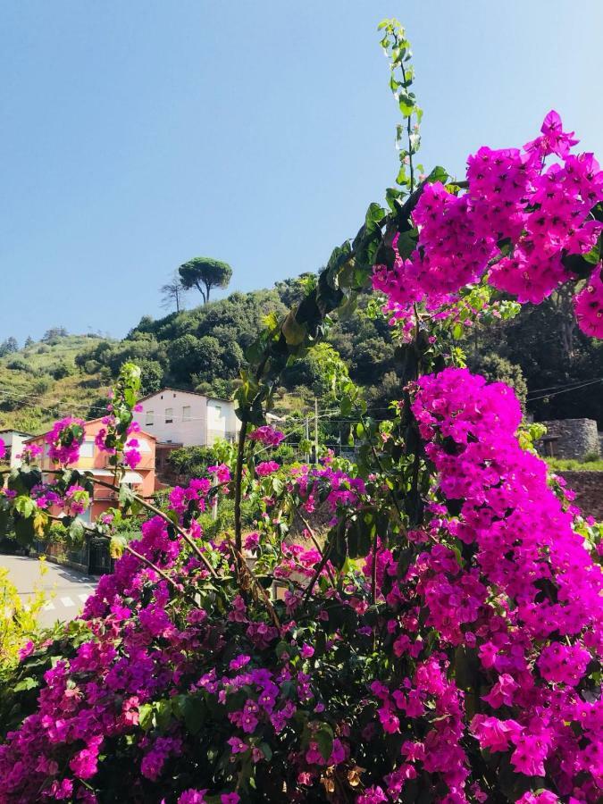 Appartamento Le Conchiglie Monterosso Al Mare Extérieur photo